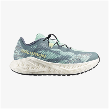 Salomon Aero Glide 4 Grvl Erkek Koşu Ayakkabısı