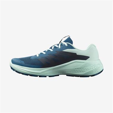 Salomon Alphaglide Erkek Koşu Ayakkabısı