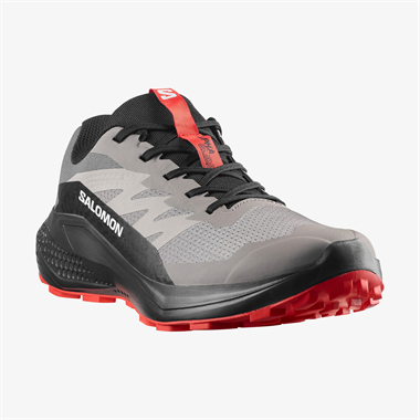 Salomon Alphaglide Erkek Koşu Ayakkabısı