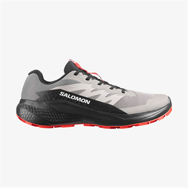Salomon Alphaglide Erkek Koşu Ayakkabısı