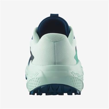 Salomon Alphaglide Erkek Koşu Ayakkabısı