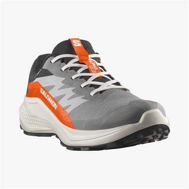 Salomon Alphaglide Gore-Tex Erkek Koşu Ayakkabısı