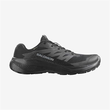 Salomon Alphaglide Gore-Tex Erkek Koşu Ayakkabısı