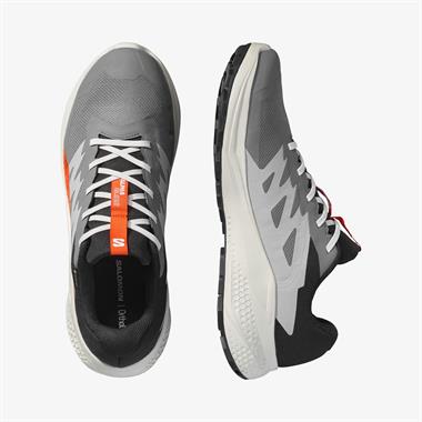 Salomon Alphaglide Gore-Tex Erkek Koşu Ayakkabısı