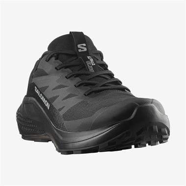 Salomon Alphaglide Gore-Tex Erkek Koşu Ayakkabısı