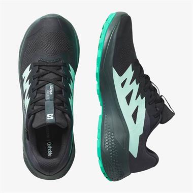 Salomon Alphaglide Gore-Tex Kadın Koşu Ayakkabısı