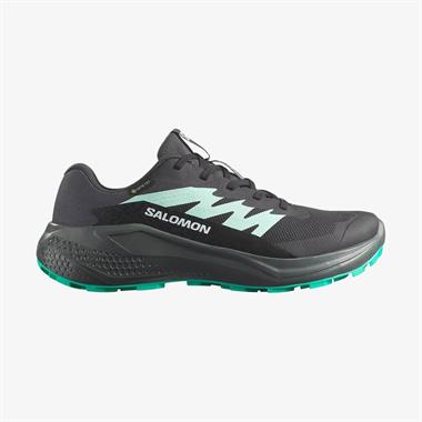 Salomon Alphaglide Gore-Tex Kadın Koşu Ayakkabısı