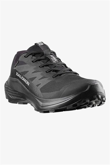 Salomon Alphaglide GTX W Kadın Koşu Ayakkabısı