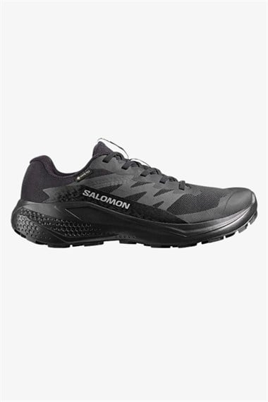 Salomon Alphaglide GTX W Kadın Koşu Ayakkabısı