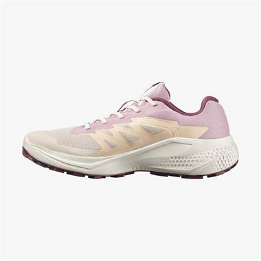 Salomon Alphaglide W Kadın Koşu Ayakkabısı