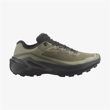 Salomon Genesis 2 Gtx Erkek Koşu Ayakkabısı
