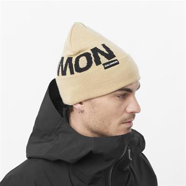 Salomon Hermitage Beanie Unisex Bere