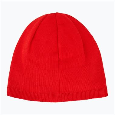 Salomon Salomon Beanie Unisex Bere