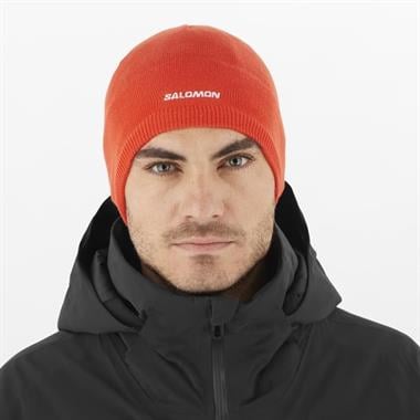 Salomon Salomon Beanie Unisex Bere