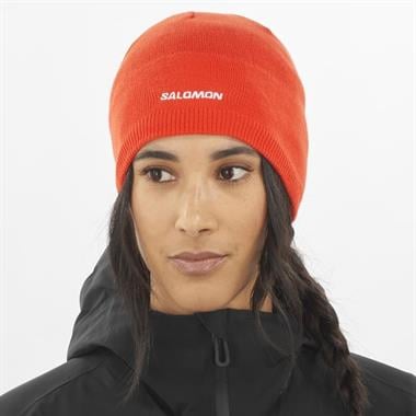 Salomon Salomon Beanie Unisex Bere