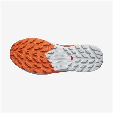 Salomon Sense Ride 5 Gtx Erkek Koşu Ayakkabısı