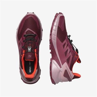 Salomon Supercross 4 Gtx W Kadın Koşu Ayakkabısı