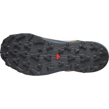 Salomon Thundercross Gtx Erkek Koşu Ayakkabısı