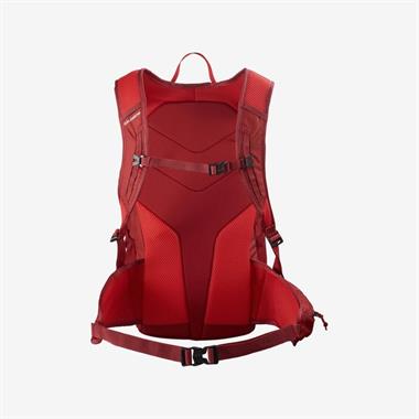 Salomon Trailblazer 20 Unisex Sırt Çantası