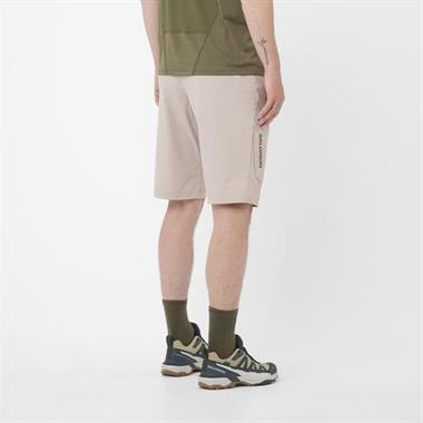Salomon Wayfarer Shorts M Erkek Şort