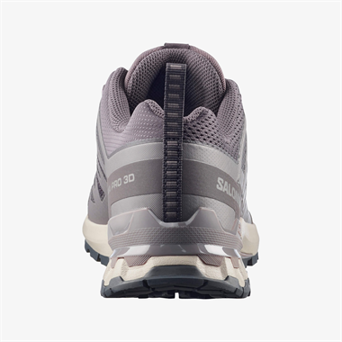 Salomon Xa Pro 3D V9 Erkek Outdoor Ayakkabı