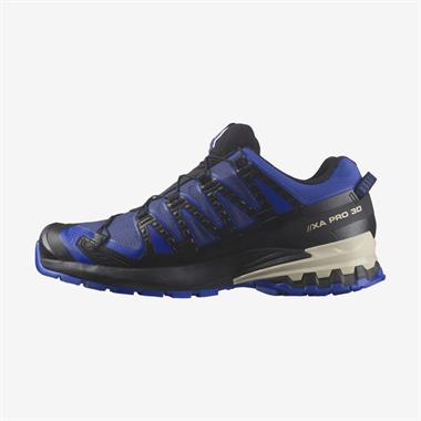 Salomon Xa Pro 3D V9 Gtx Erkek Outdoor Ayakkabı