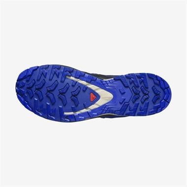 Salomon Xa Pro 3D V9 Gtx Erkek Outdoor Ayakkabı