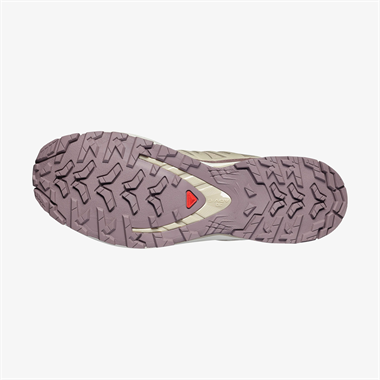 Salomon Xa Pro 3D V9 Lifelong M Erkek Outdoor Ayakkabı