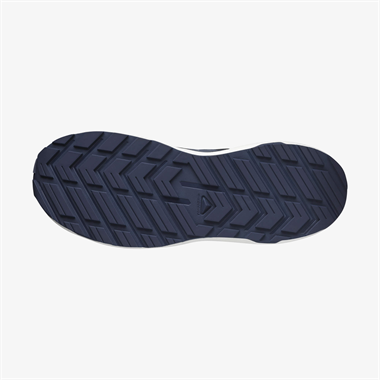 Salomon Xc Roam Erkek Sneakers