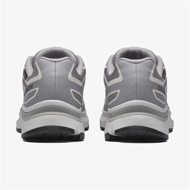 Salomon Xt-Evr Gtx M Erkek Sneakers