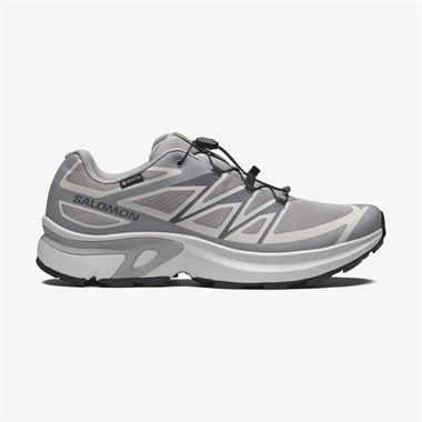 Salomon Xt-Evr Gtx M Erkek Sneakers