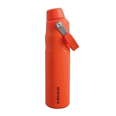 Stanley Stanley The Aerolight™ IceFlow™ Water Bottle Fast Flow 0.6L / 20oz Tigerlily Termos