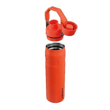 Stanley Stanley The Aerolight™ IceFlow™ Water Bottle Fast Flow 0.6L / 20oz Tigerlily Termos