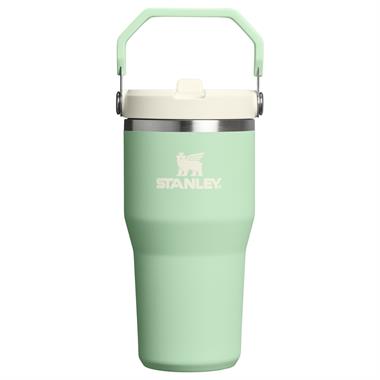 Stanley The IceFlow™ Flip Straw 2.0 Tumbler 0.6L / 20oz Pistachio Termos