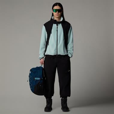 The North Face M 2000 Polar Sun Fleece Jacket Erkek Polar Mont