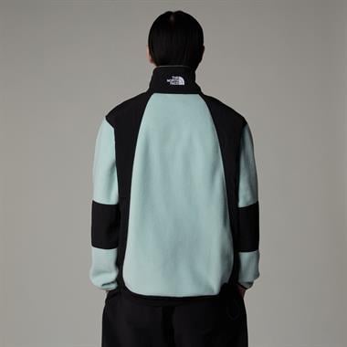 The North Face M 2000 Polar Sun Fleece Jacket Erkek Polar Mont