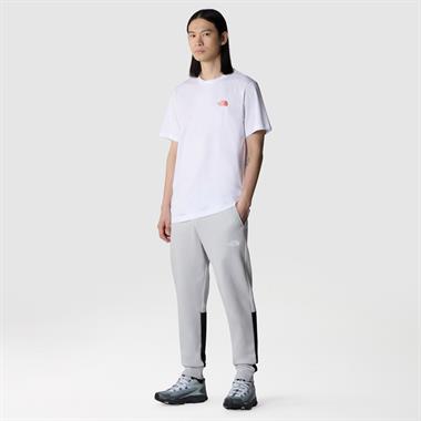 The North Face M Biner Graphic 4 Tee Erkek T-Shirt