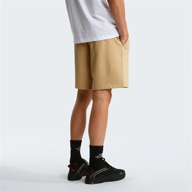 The North Face M Box Nse Light Regular Shorts Erkek Şort