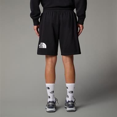 The North Face M Easy Regular Short Erkek Şort