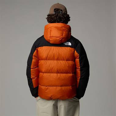 The North Face M Hmlyn Down Parka Erkek Mont