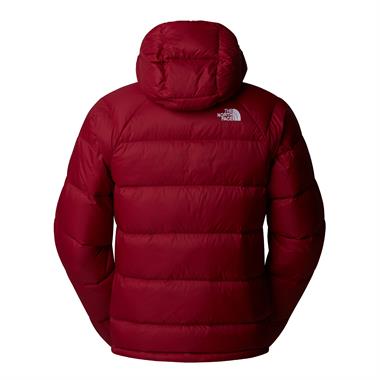 The North Face M Hydrenalite Down Hoodie Erkek Mont