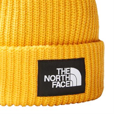 The North Face Salty Lined Beanie Unisex Bere