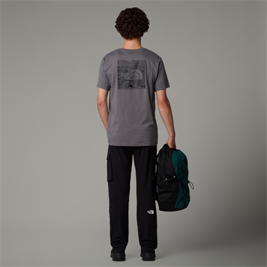The North Face Ss Box Nse Celebration Tee Erkek T-Shirt