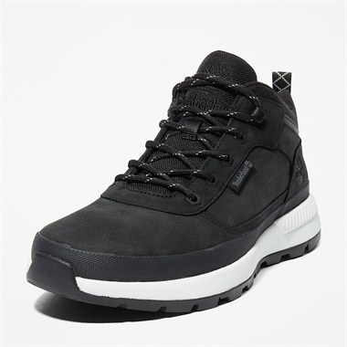 Timberland Field Trekker Low Lace Up  Erkek Sneakers