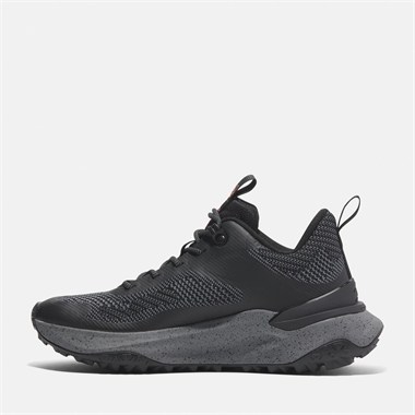 Timberland Motion Access Low Lace Up Kadın Sneakers