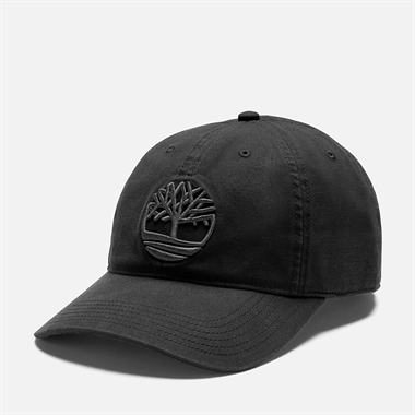 Timberland Soundview Soundview Embroidered Baseball Erkek Şapka