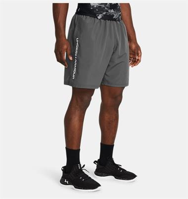 Under Armour UA Tech Woven Wordmark Short Erkek Şort