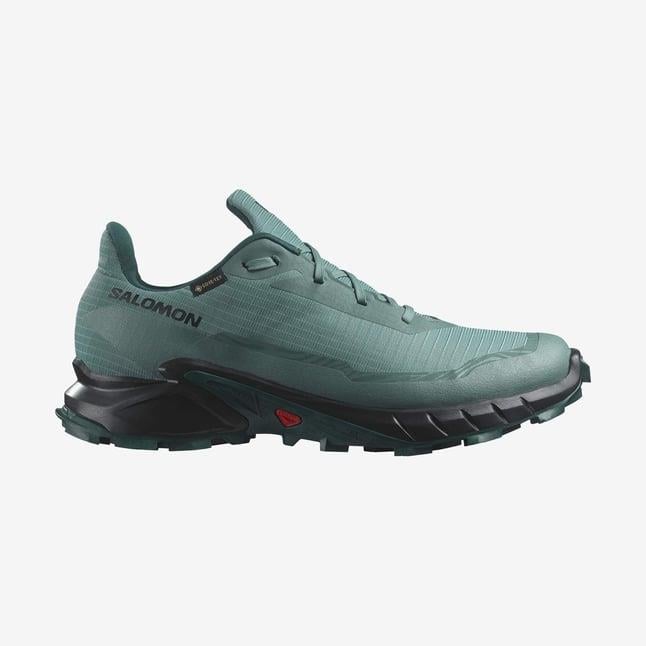 Salomon Alphacross 5 Gtx Erkek Koşu Ayakkabısı