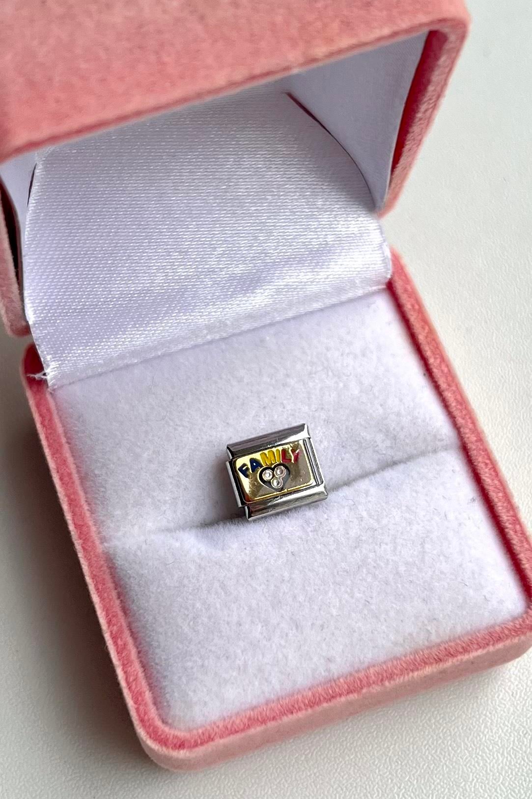 Family Nomi Charm