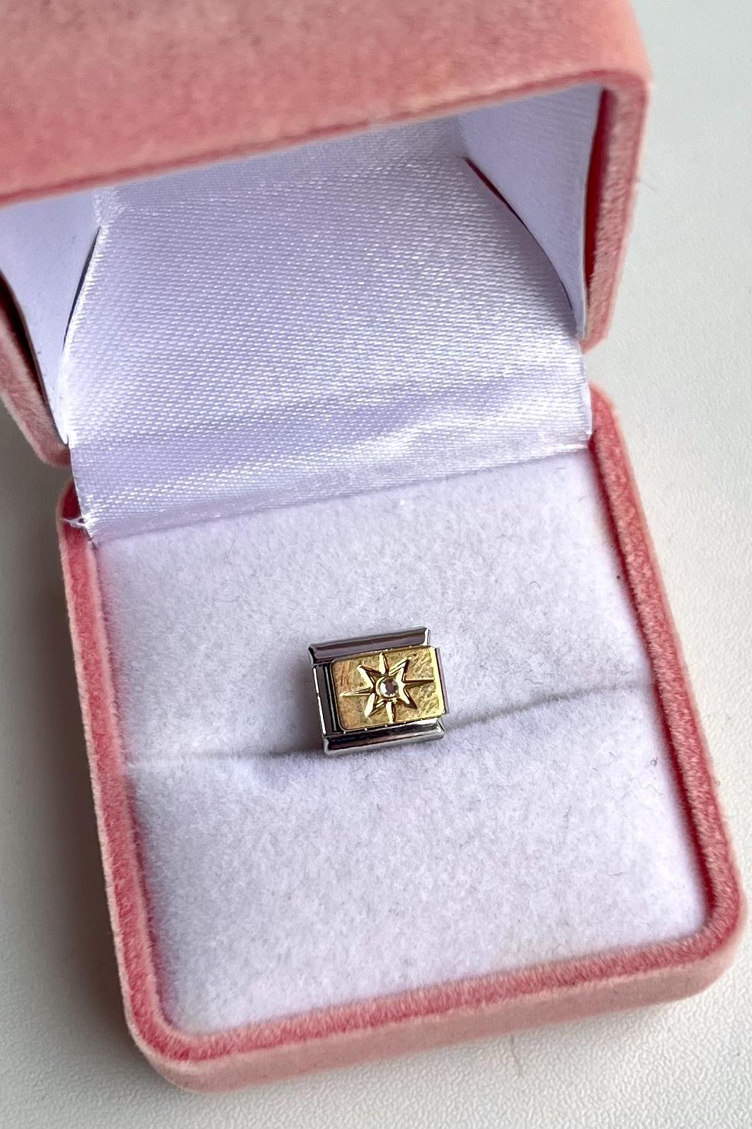 Kutup Yıldızı Nomi Charm